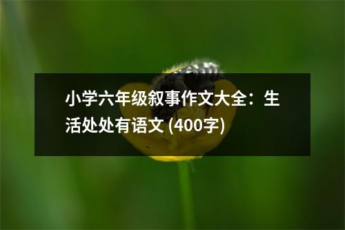 小學六年級敘事作文大全：生活處處有語文 (400字)