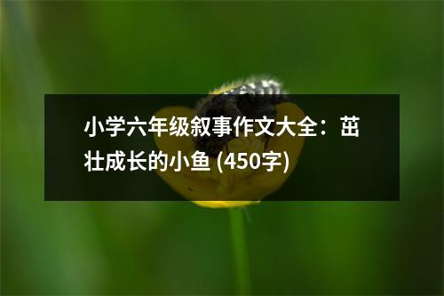 小學(xué)六年級(jí)敘事作文大全：茁壯成長(zhǎng)的小魚 (450字)