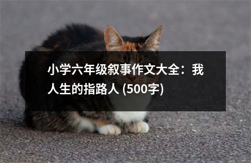 小學(xué)六年級(jí)敘事作文大全：我人生的指路人 (500字)