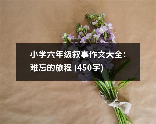 小學(xué)六年級(jí)敘事作文大全：難忘的旅程 (450字)