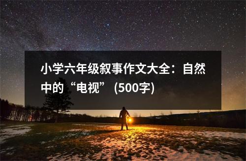 小學六年級敘事作文大全：自然中的“電視” (500字)