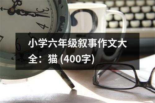 小學六年級敘事作文大全：貓 (400字)