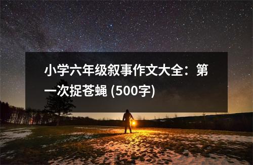 小學(xué)六年級(jí)敘事作文大全：第一次捉蒼蠅 (500字)