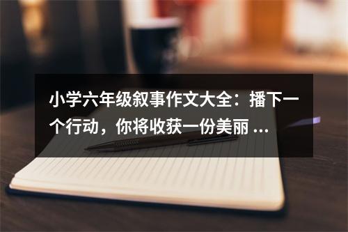 小學(xué)六年級(jí)敘事作文大全：播下一個(gè)行動(dòng)，你將收獲一份美麗 (450字)