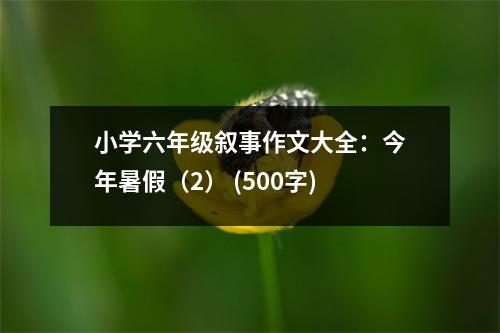 小學(xué)六年級敘事作文大全：今年暑假（2） (500字)