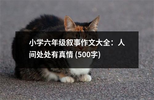 小學(xué)六年級敘事作文大全：人間處處有真情 (500字)