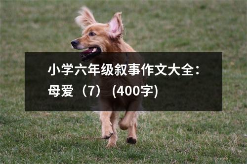 小學(xué)六年級敘事作文大全：母愛（7） (400字)