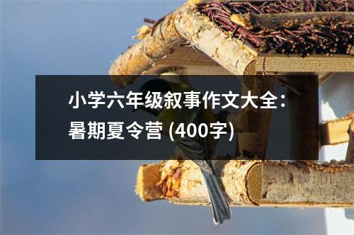 小學六年級敘事作文大全：暑期夏令營 (400字)