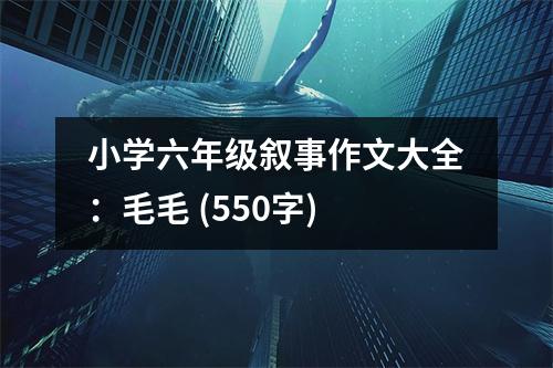 小學(xué)六年級敘事作文大全：毛毛 (550字)