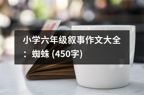 小學(xué)六年級(jí)敘事作文大全：蜘蛛 (450字)