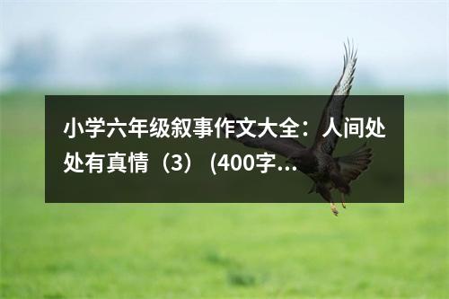 小學(xué)六年級敘事作文大全：人間處處有真情（3） (400字)