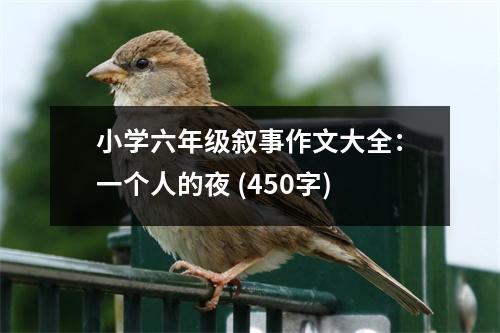 小學(xué)六年級敘事作文大全：一個人的夜 (450字)