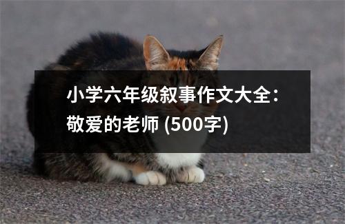 小學六年級敘事作文大全：敬愛的老師 (500字)