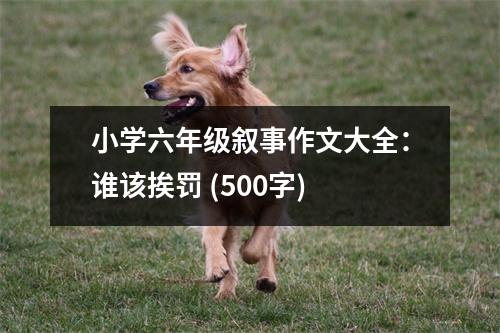小學六年級敘事作文大全：誰該挨罰 (500字)