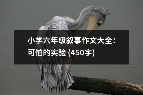 小學(xué)六年級敘事作文大全：可怕的實(shí)驗(yàn) (450字)