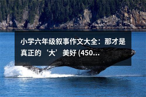 小學(xué)六年級(jí)敘事作文大全：那才是真正的‘大’美好 (450字)