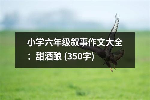 小學(xué)六年級(jí)敘事作文大全：甜酒釀 (350字)