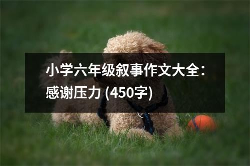小學(xué)六年級敘事作文大全：感謝壓力 (450字)