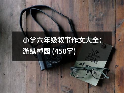 小學(xué)六年級敘事作文大全：游縱棹園 (450字)