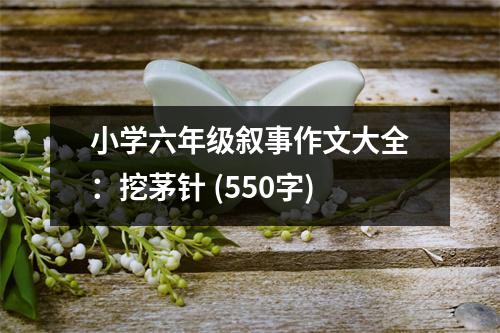 小學(xué)六年級敘事作文大全：挖茅針 (550字)