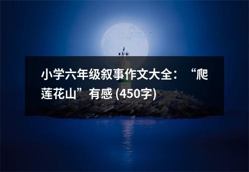 小學(xué)六年級(jí)敘事作文大全：“爬蓮花山”有感 (450字)