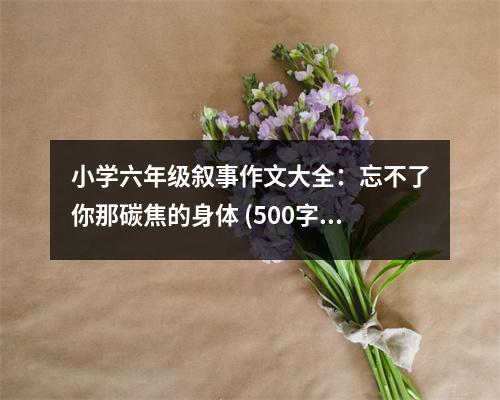 小學六年級敘事作文大全：忘不了你那碳焦的身體 (500字)