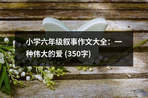 小學(xué)六年級(jí)敘事作文大全：一種偉大的愛 (350字)