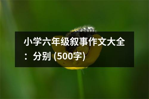 小學(xué)六年級(jí)敘事作文大全：分別 (500字)