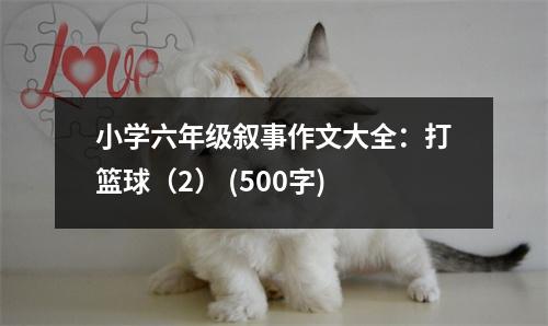 小學(xué)六年級敘事作文大全：打籃球（2） (500字)