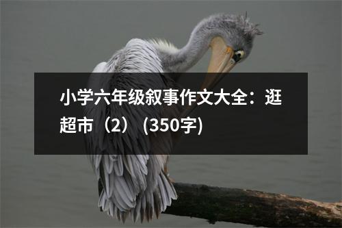 小學(xué)六年級(jí)敘事作文大全：逛超市（2） (350字)