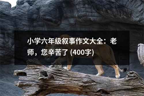 小學(xué)六年級(jí)敘事作文大全：老師，您辛苦了 (400字)