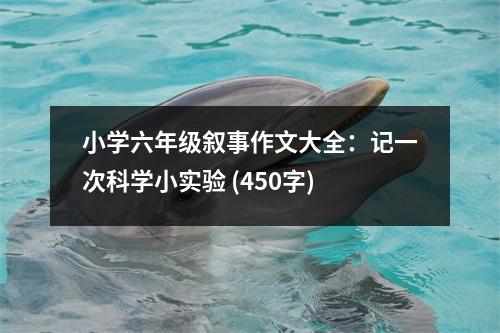 小學(xué)六年級敘事作文大全：記一次科學(xué)小實(shí)驗(yàn) (450字)
