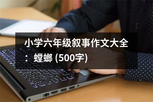小學(xué)六年級敘事作文大全：螳螂 (500字)