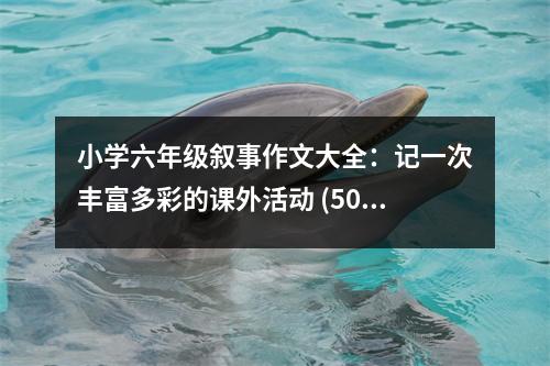 小學(xué)六年級敘事作文大全：記一次豐富多彩的課外活動(dòng) (500字)