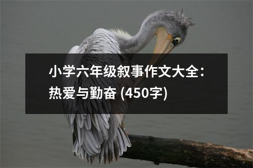 小學六年級敘事作文大全：熱愛與勤奮 (450字)