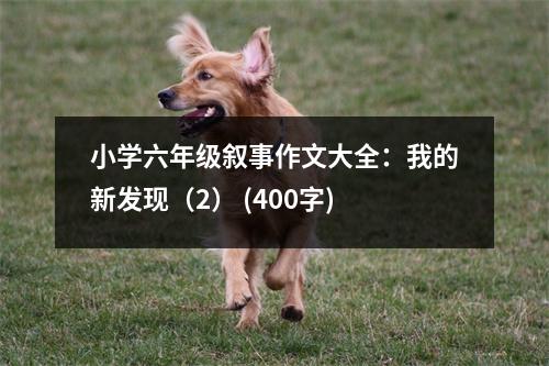 小學(xué)六年級(jí)敘事作文大全：我的新發(fā)現(xiàn)（2） (400字)