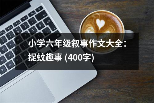 小學(xué)六年級(jí)敘事作文大全：捉蚊趣事 (400字)