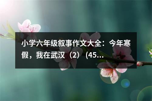 小學(xué)六年級(jí)敘事作文大全：今年寒假，我在武漢（2） (450字)