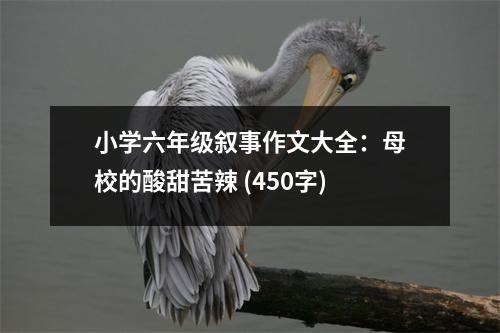 小學(xué)六年級敘事作文大全：母校的酸甜苦辣 (450字)