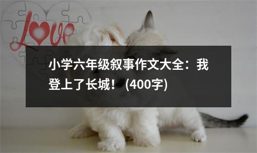 小學六年級敘事作文大全：我登上了長城！ (400字)