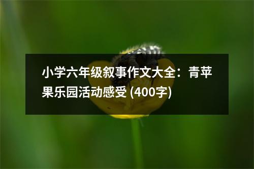 小學六年級敘事作文大全：青蘋果樂園活動感受 (400字)