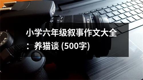小學(xué)六年級敘事作文大全：養(yǎng)貓談 (500字)
