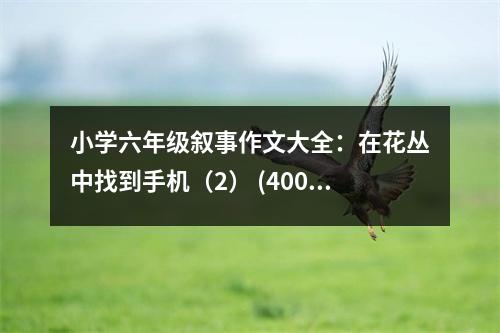 小學(xué)六年級(jí)敘事作文大全：在花叢中找到手機(jī)（2） (400字)