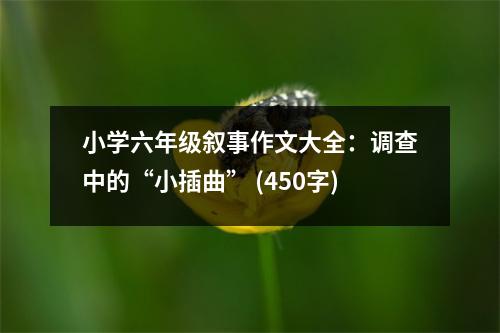 小學(xué)六年級(jí)敘事作文大全：調(diào)查中的“小插曲” (450字)