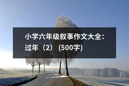 小學六年級敘事作文大全：過年（2） (500字)