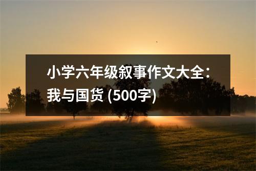 小學(xué)六年級敘事作文大全：我與國貨 (500字)