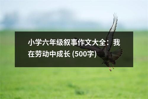 小學(xué)六年級(jí)敘事作文大全：我在勞動(dòng)中成長(zhǎng) (500字)