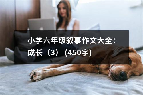 小學(xué)六年級(jí)敘事作文大全：成長(zhǎng)（3） (450字)