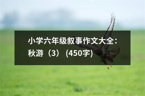 小學(xué)六年級(jí)敘事作文大全：秋游（3） (450字)