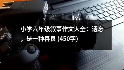 小學(xué)六年級敘事作文大全：遺忘，是一種善良 (450字)